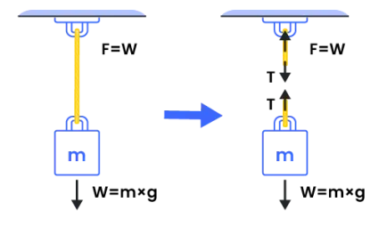 Find tension in a string due to object hanging