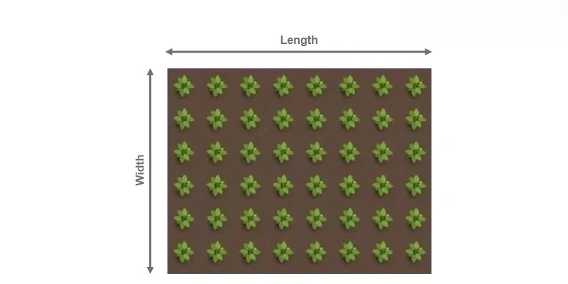 Square Spacing Formula