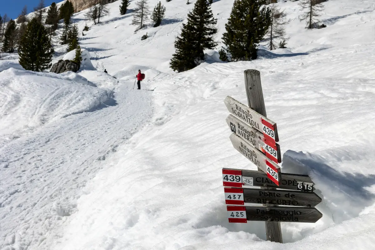 Debt avalanche vs snowball comparison chart for credit card repayment