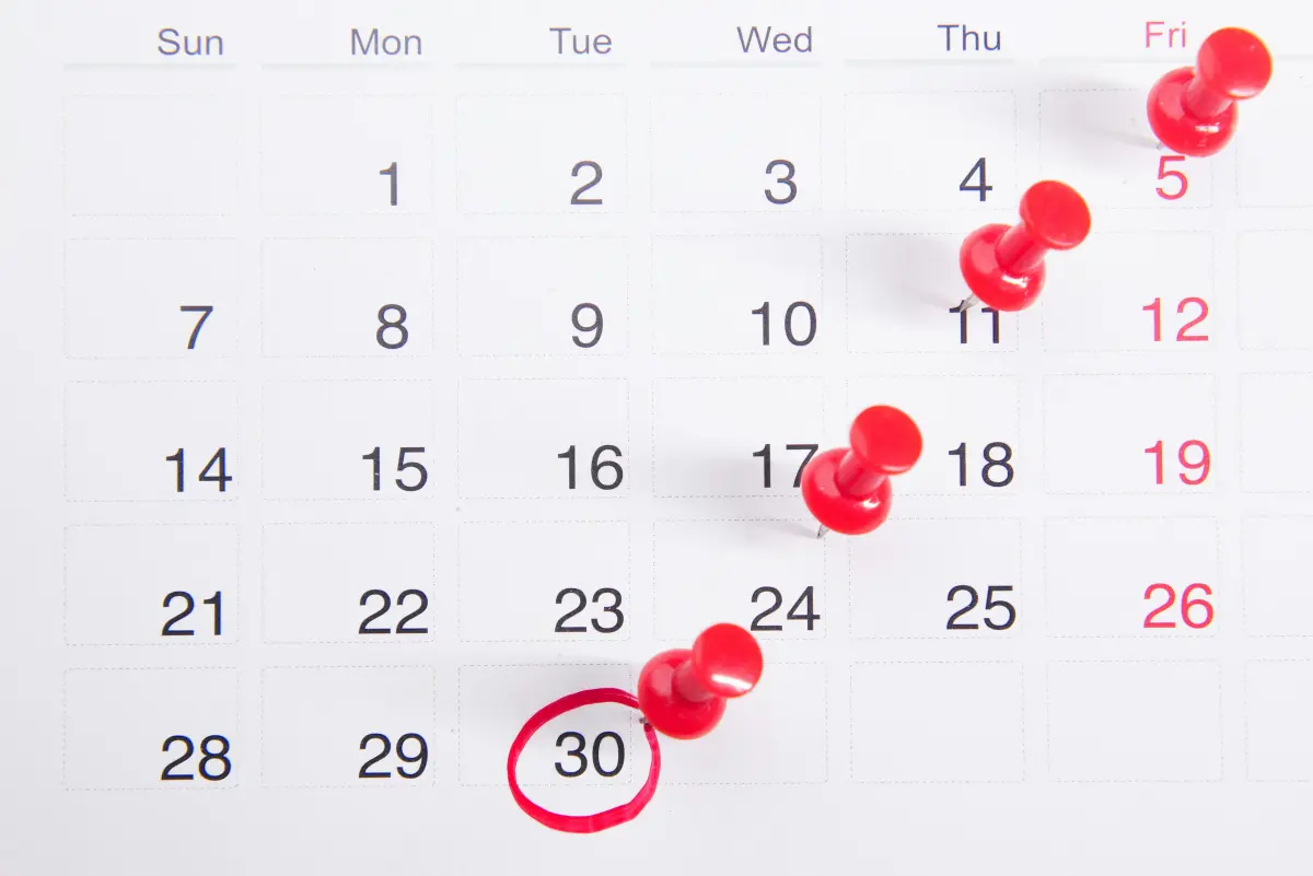 Conception calculator fertility window ovulation calendar illustration