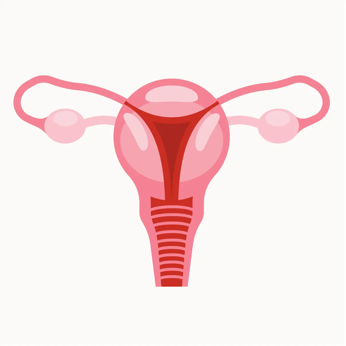 Menstrual cycle calendar period ovulation tracking illustration