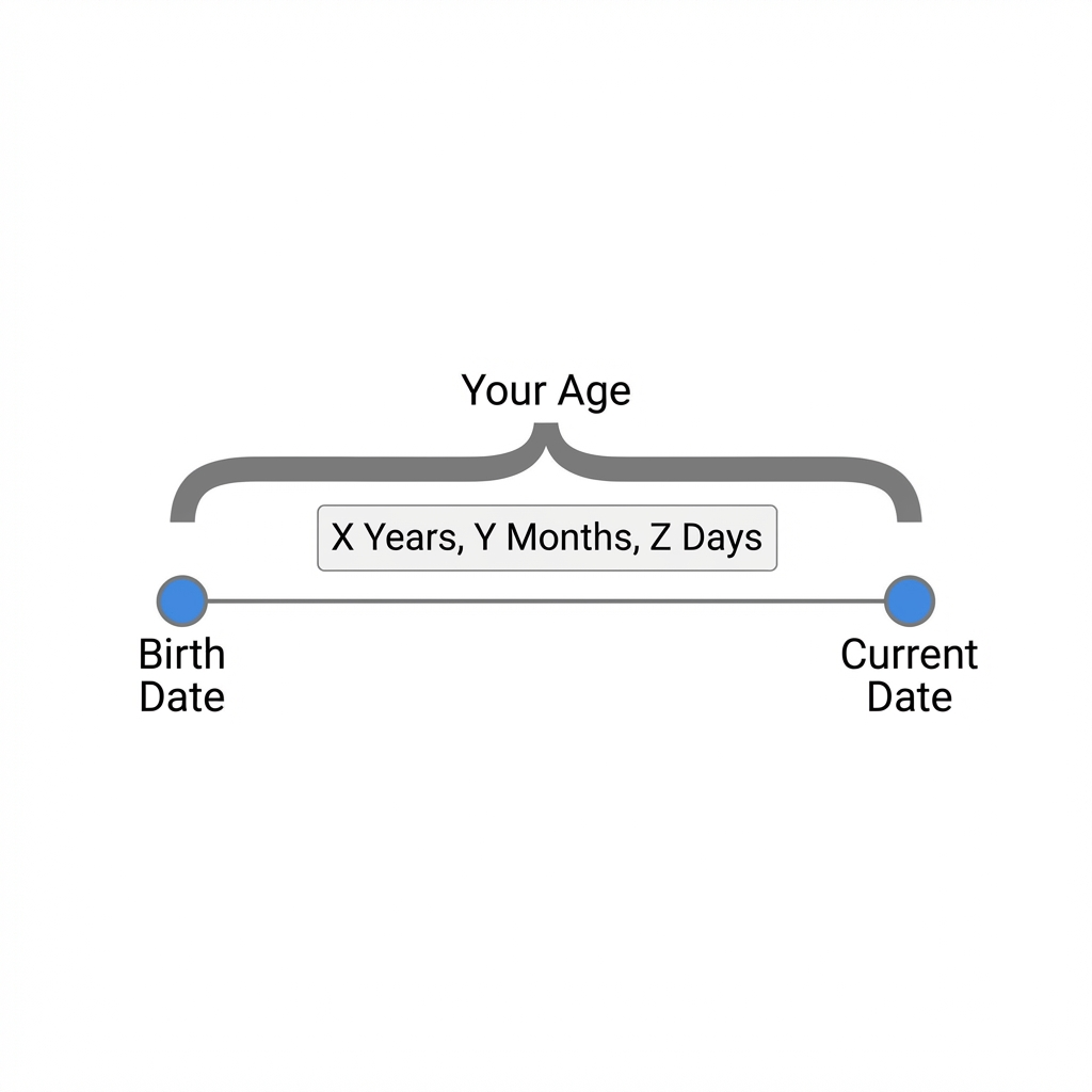 Age Calculation Logic
