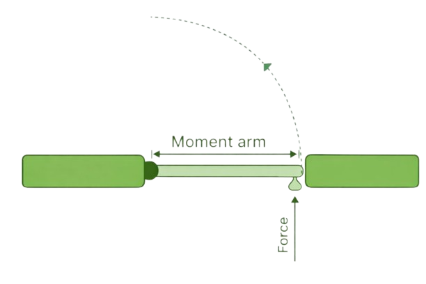 Torque Image: