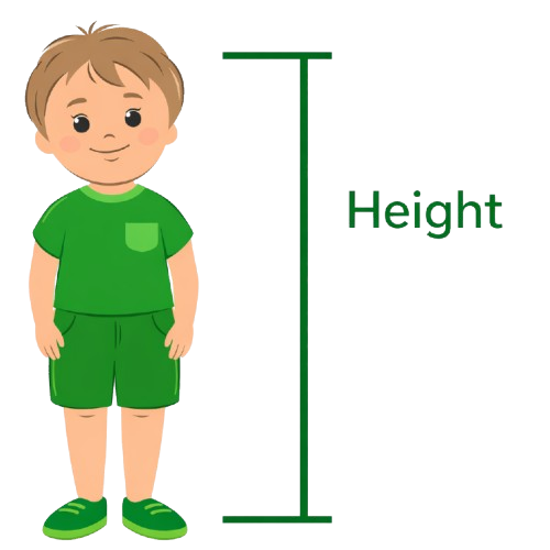 How to Calculate Bicycle Size by Height?