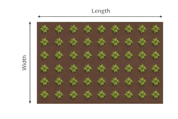 Square Spacing Formula