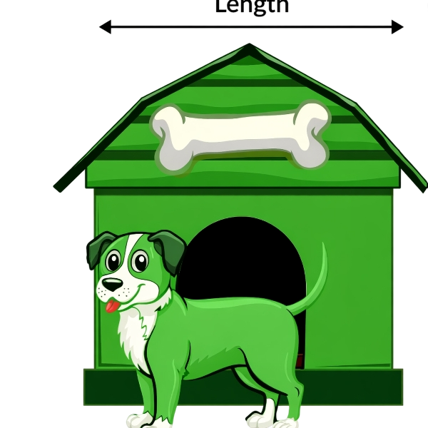Dog Crate Size