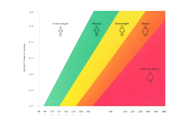 bmi chart men and women