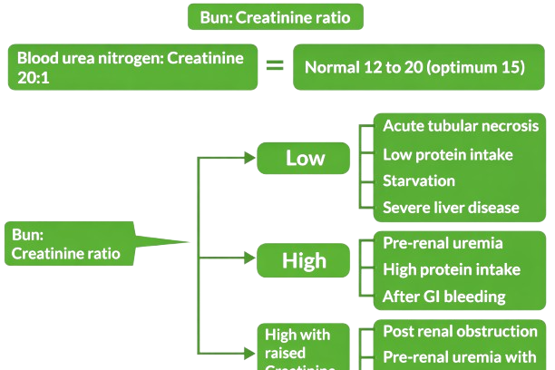 Bun Creatinine Ratio