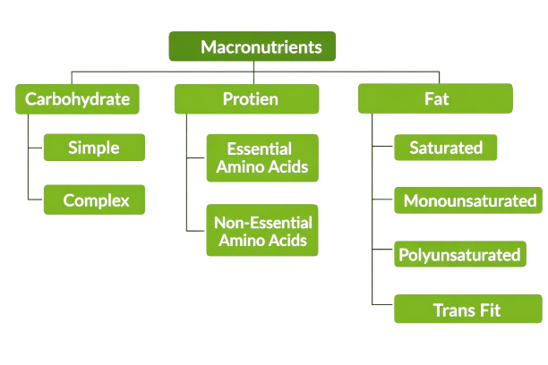 Grams to Calories Conversion Formula