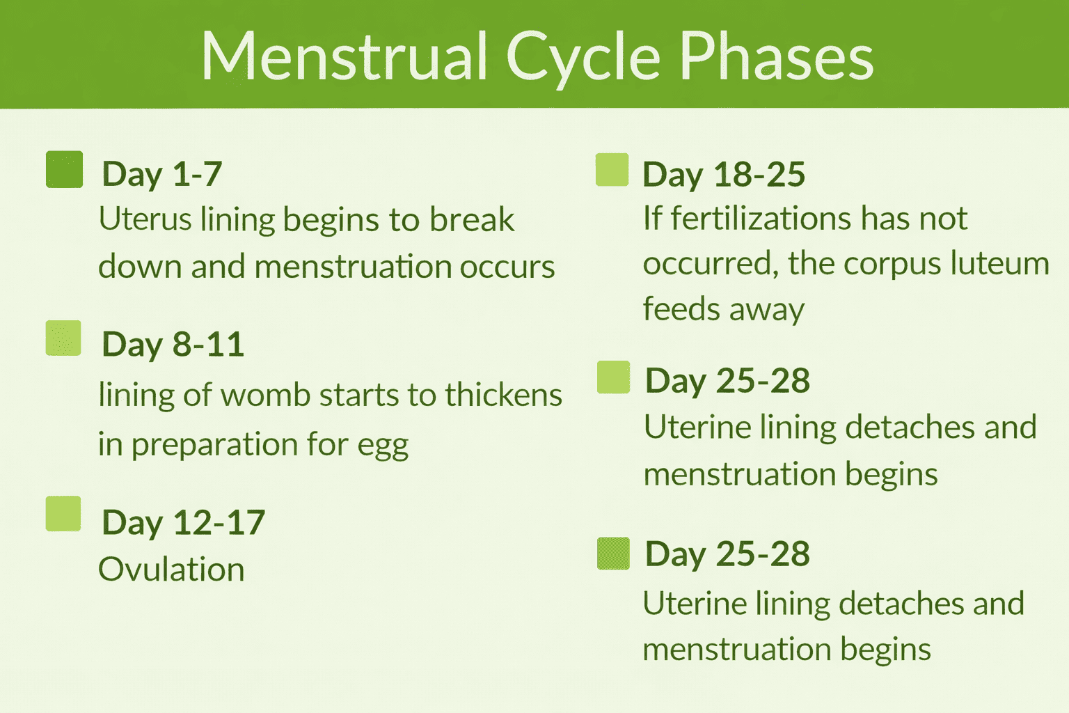 Track Menstrual Cycle