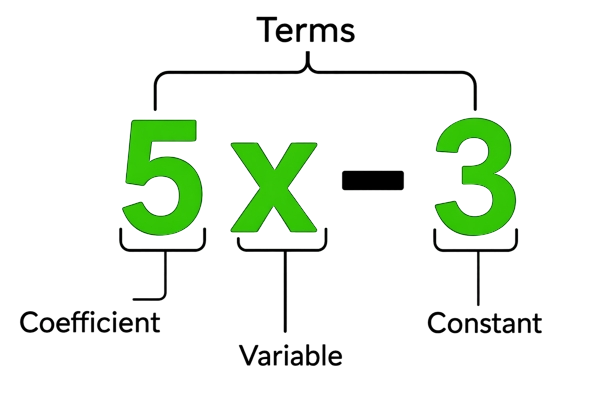 algebraic expression