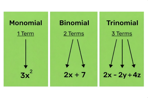 Types of Polynomials