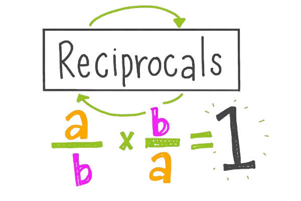 How to Find the Reciprocal of Fraction?